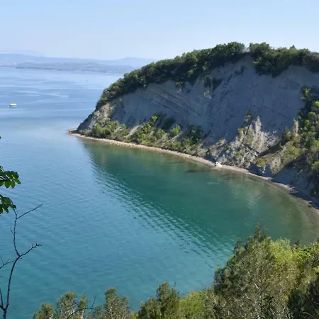 Apartmaji Zbgs Izola