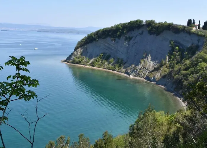 Apartmaji Zbgs Izola